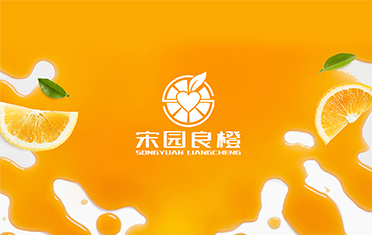 某良橙——湖南LOGO设计